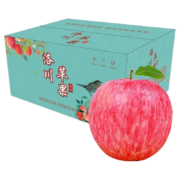 延安苹果（yan an apple）洛川苹果  精品中果70-79mm 12个（6斤） 礼盒装