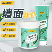 deli 得力 DA-BQ025 墙面修补膏 250g
