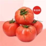 88Vip:青粉番茄生吃沙瓤西红柿酸甜多汁2.5kg