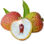 预售：粮心牧场 海南妃子笑荔枝 净重4.5-5斤装 冷链直达 48内发货