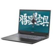 京东百亿补贴：COLORFUL 七彩虹 将星X15-XS 2022款