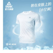 PEAK 匹克 男子运动T恤 DFTM1423