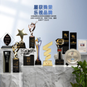 Letv乐视智能门锁指纹锁密码锁可视猫眼电子锁家用防盗门锁入户门锁 Le1经典款