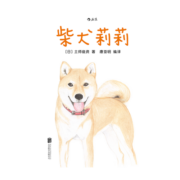 柴犬莉莉