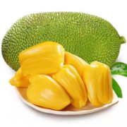拾小鹿黄肉菠萝蜜当季新鲜水果一整个带壳不懂这么看熟与不熟可咨询客服 黄肉菠萝蜜18-22斤