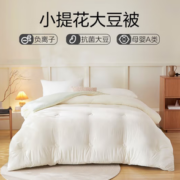 PLUS会员！YANXUAN 网易严选 提花大豆被 7A级柔软A类抗菌 海盐灰 220*240cm