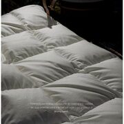 SIDANDA 诗丹娜 高奢银棉95白鹅绒春秋被 220*230cm