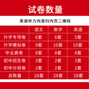 2023小升初真题卷名校冲刺小升初模拟试卷语文数学英语全套人教版 小升初专项复习卷知识大盘点 六年级下册小考毕业总复习必刷题