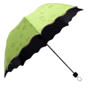 访客 雨伞 晴雨两用雨伞 *3