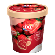 DQ埃及草莓口味冰淇淋 400g*1桶（含草莓颗粒）