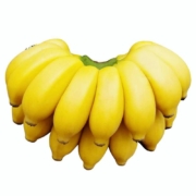 CHENGNANBAOHUA 城南堡花 现摘广西小香蕉 小米蕉 净重5斤