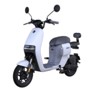 Ninebot九号电动车锦鲤A30C+智能电动自行车新国标【门店自提】