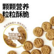养了个毛孩全价低温烘焙猫粮无谷成猫幼猫高蛋白益生菌养胃粮低敏