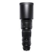 适马（SIGMA）500mm F4 DG OS HSM｜Sports 全画幅 超远摄定焦镜头 打鸟拍荷花（尼康卡口镜头）