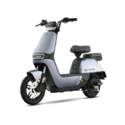 AIMA 爱玛 星动 新国标电动自行车 48V16AH