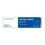 西部数据（WD） NVME M.2 2280台式机笔记本SSD固态硬盘 蓝盘SN570 1T+散热片