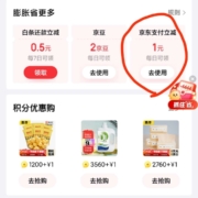 限用户：京东金融 每日领1元支付券 wzl