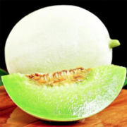 PLUS会员：枝头春 玉菇甜瓜 4.5-5斤装