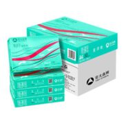 亚太森博 派部落 A4复印纸 80g 500张/包 4包/箱