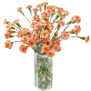 PLUS会员：REFLOWER 花点时间 定制款小花束 锦宫华彩