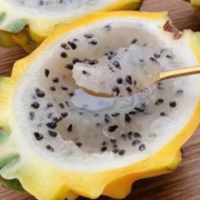 拾小鹿燕窝果燕窝果大果新鲜麒麟燕窝果 燕窝果2斤