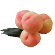 阳山水蜜桃 无锡阳山水蜜桃礼盒装 新鲜水果 桃子送礼盒 4两-5两大果 12个  净果5斤多
