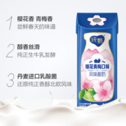 蒙牛纯甄笑脸包樱花青梅口味风味酸奶200g×10盒
