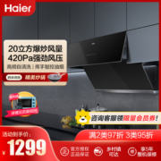 Haier 海尔 CXW-219-E900C10SU1 侧吸式吸油烟机