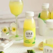佳果源 100%果汁 小青柠汁复合果汁 250g*9瓶/箱