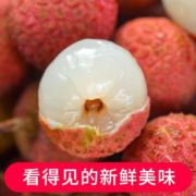 焱蜀广东茂名老树黑叶荔枝速当季应季水果整箱乌叶荔枝黑叶荔枝 普快冷链-大个饱满精品5斤礼盒装