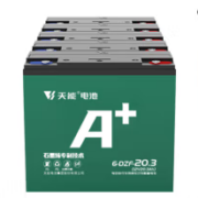 TIANNENG BATTERY 天能电池 A6 电动车铅酸电池 60V20Ah