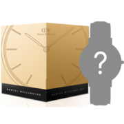 丹尼尔惠灵顿（DanielWellington）【618盲盒】DW腕表×1 数量有限抢完即止 （女士腕表）