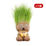 漾姿 草头娃娃1个+1托盘+1营养液+1小