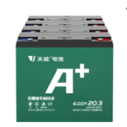 TIANNENG BATTERY 天能电池 A6 电动车铅酸电池 48V20Ah