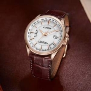 Citizen 西铁城 x 馨悦之旅系列 EC1183-16A 女士光动能电波腕表