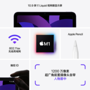 【自营】Apple/苹果 iPad Air 5 10.9英寸平板电脑 2022年款(WLAN版/M1芯片）