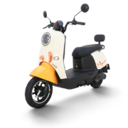 京东百亿补贴：TAILG 台铃 萌咖 智能电动车 TL1000DT-5C