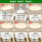 NVC Lighting 雷士照明 B1 两室一厅 3灯丨语音智控客厅+语音智控卧室