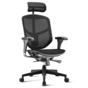 保友办公家具（Ergonor）金卓b 2代人体工学椅电脑椅办公椅电竞椅 黑色美国网（尼龙椅脚）