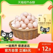 燕域田园 新鲜粉壳土鸡蛋 40g*10枚