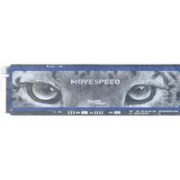 MOVE SPEED 移速 美洲豹系列 256GB 固态硬盘  M.2接口(NVMe协议)