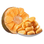 粒司海南热带整个新鲜菠萝蜜 海南菠萝蜜 35-40斤