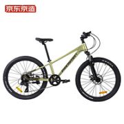 某东京造 青少年铝合金山地车 24寸 JZ-TRANSITION 600