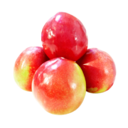 芬果时光 新鲜蜜脆水蜜桃 2.3-2.5kg装 新鲜水果桃子