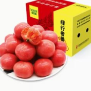 Greer 绿行者 桃太郎粉番茄西红柿 5斤*1箱