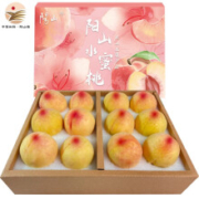 预售：阳山水蜜桃 单果4-5两 12个礼盒装 净重4.8斤多