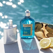 L'OCCITANE 欧舒丹 魅力绅士二合一沐浴露 250ml