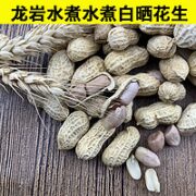 福建龙岩特产水煮白晒花生 500g