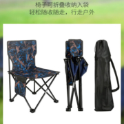 绿拾光（LVDAYS）户外折叠桌野餐桌椅便携式露营蛋卷桌子用品装备 银彩方桌+2椅+配收纳袋