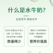 百菲酪水牛纯奶 整箱儿童学生成人营养早餐牛奶 200ml*10盒*2箱